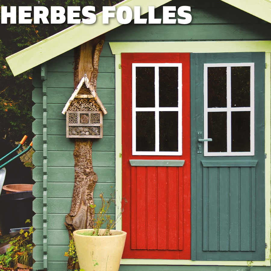 Couleurs Herbes Folles