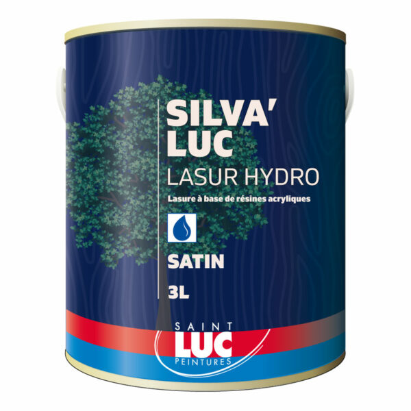 - PEINTURES SAINT-LUC