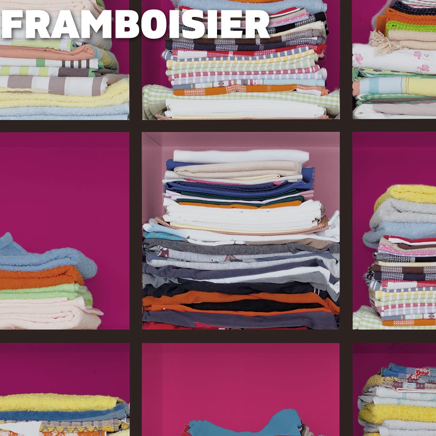 Couleurs Framboisier