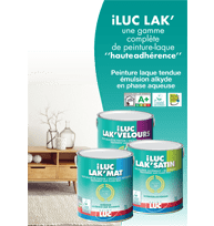 Guide iLUC'LAK - peintures professionnelles Saint-Luc