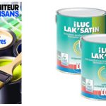 Le moniteur des artisans - février 2019 - Peintures Saint-Luc iLUC'LAK